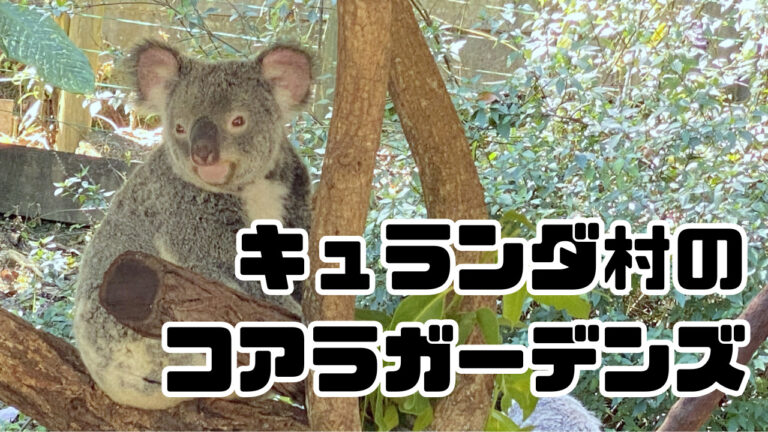 キュランダ村のコアラガーデンズ体験記 HSP的旅日記