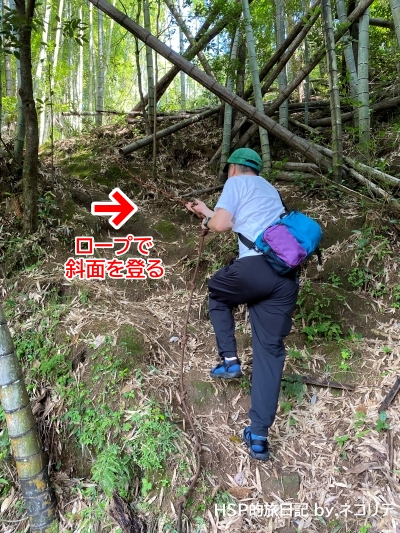 宮崎県延岡市の神さん山