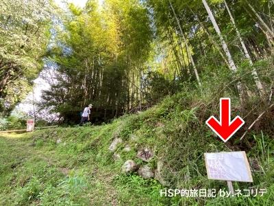 宮崎県延岡市の神さん山