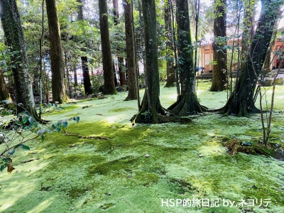 都農神社