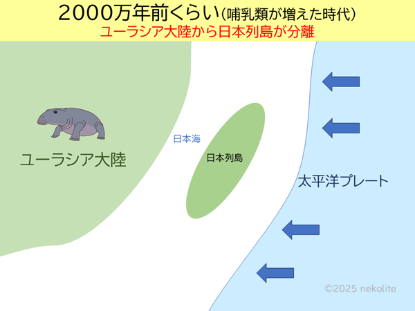 日本列島の成り立ち
