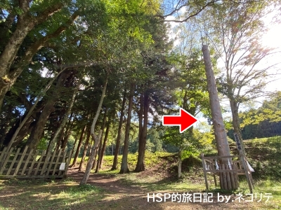 諏訪大社の上社前宮の四之御柱