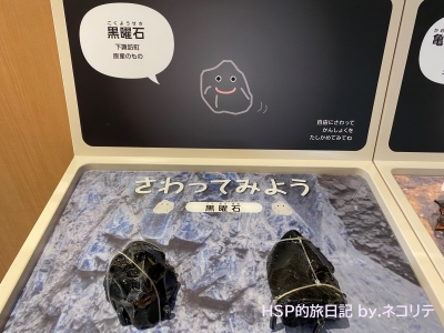 星ヶ塔ミュージアムの黒曜石