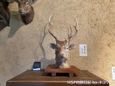 神長官守矢史料館