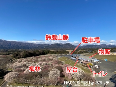 いなべ市梅林公園