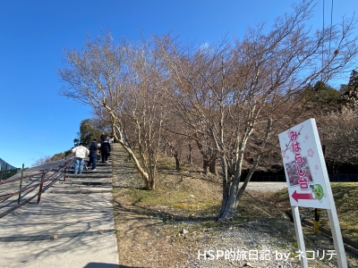いなべ市梅林公園
