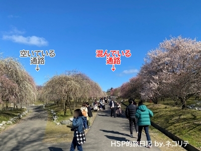 いなべ市梅林公園
