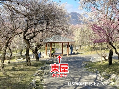 いなべ市梅林公園