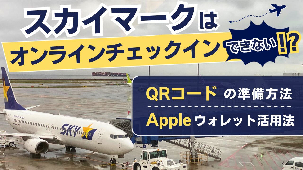 スカイマークのチェックイン記事のサムネイル