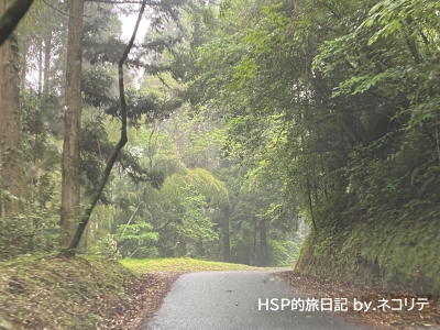 溝ノ口洞穴へ向かう道