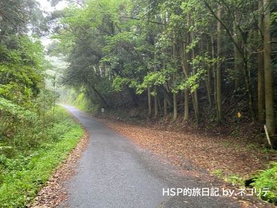 溝ノ口洞穴