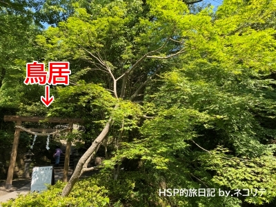 仙厳園の猫神社