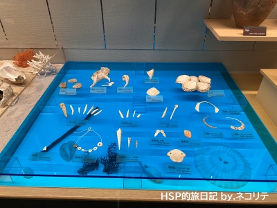 上野原縄文の森