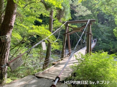 柿其渓谷のつり橋