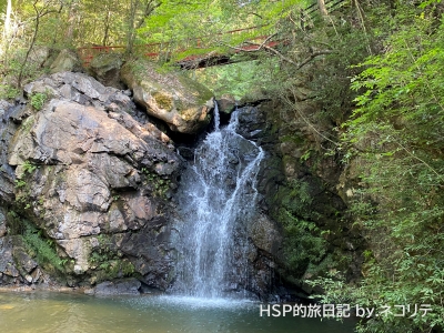 瑞浪の竜吟峡
